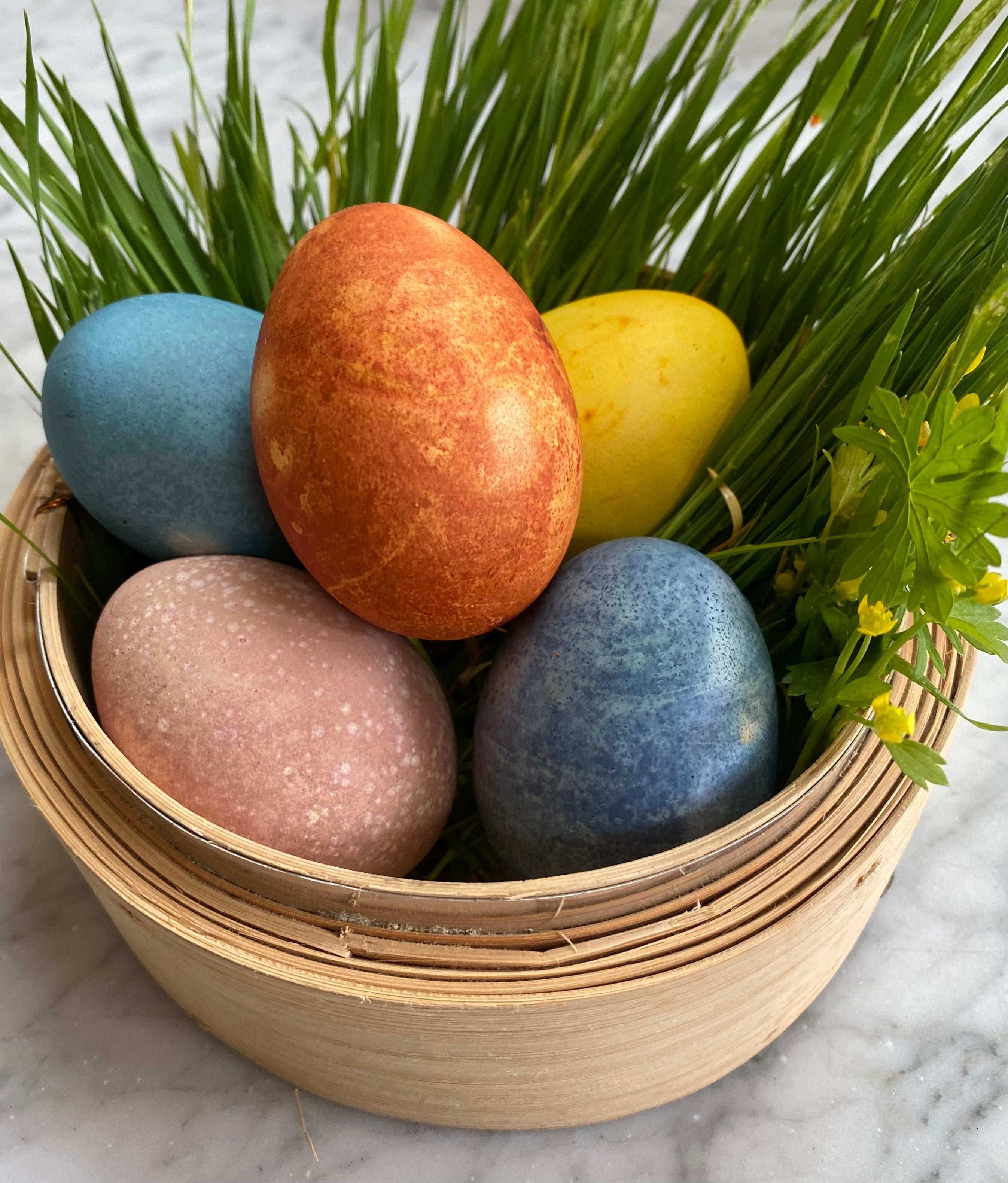 Natural Egg Dyes from Pantry and Garden